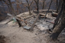 Здесь когда-то был наш "дом на дереве"