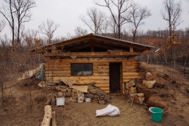 Соседям удалось спасти лишь козлятник, про технологию которого я обещался рассказать...