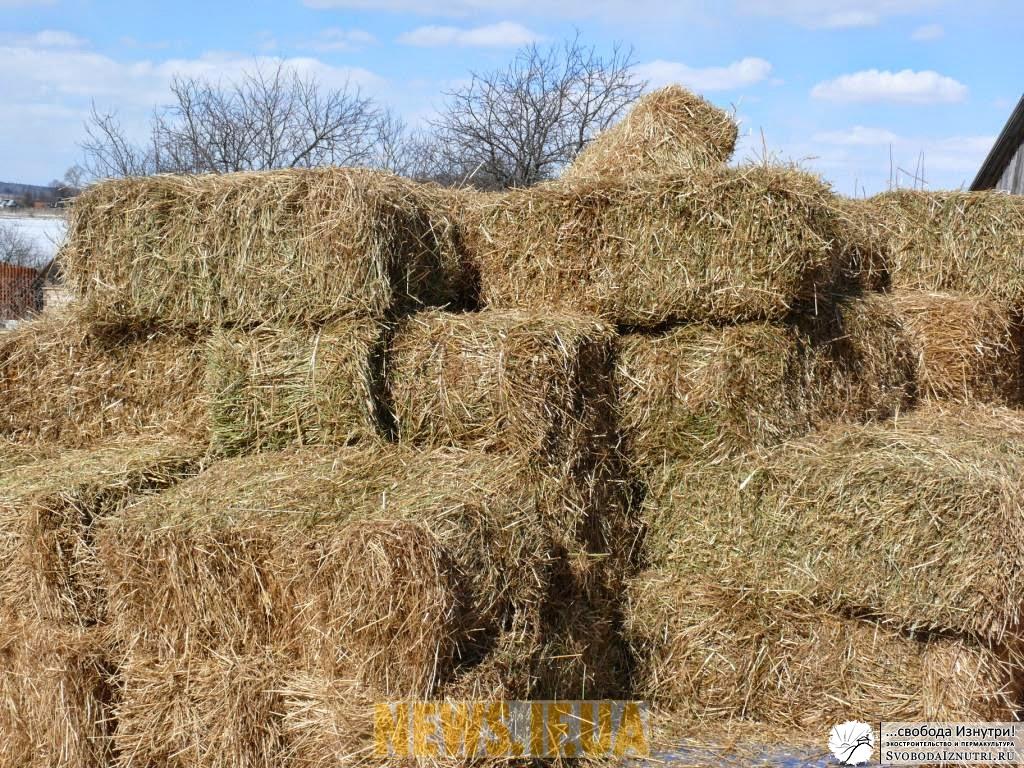 Соломенные блоки
